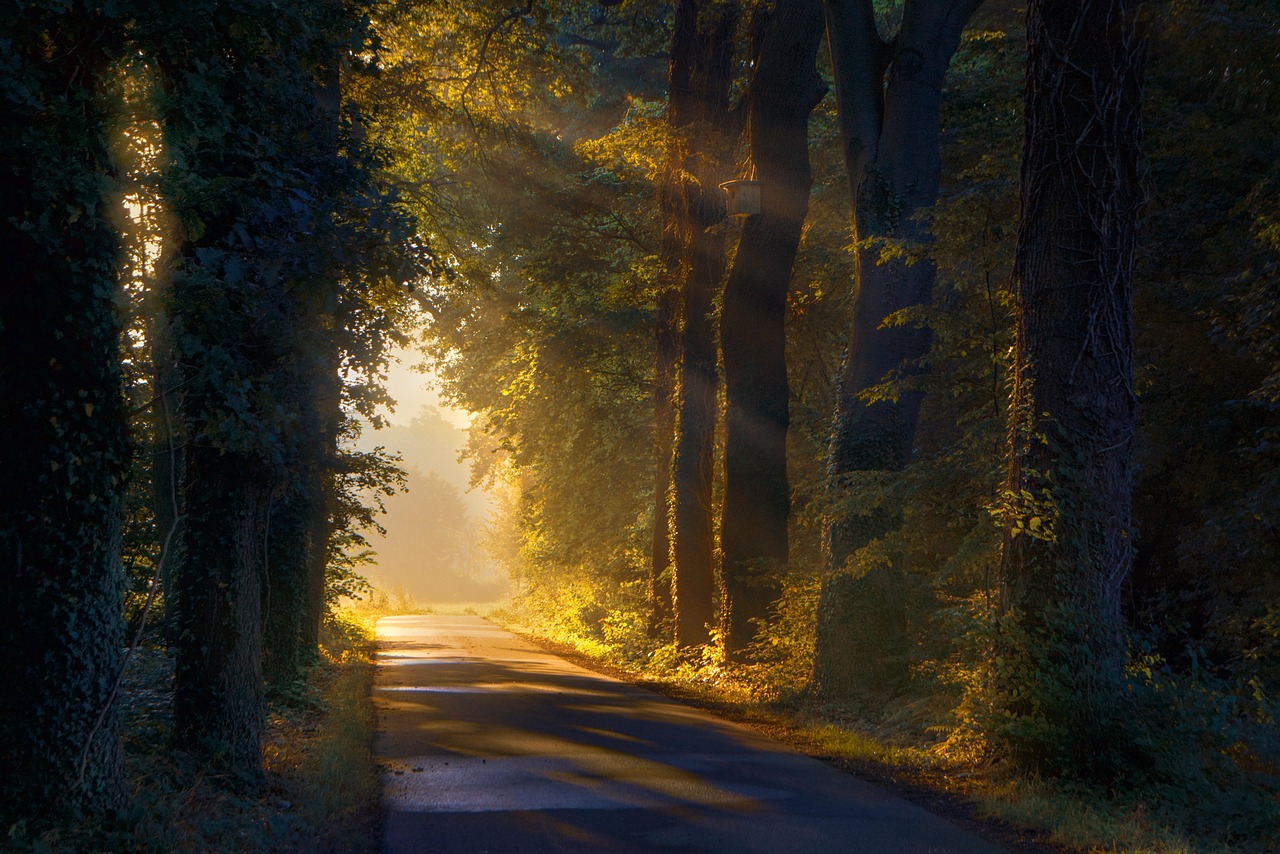 What I Now Understand: A Manifesto for Interconnected Well‑Being 